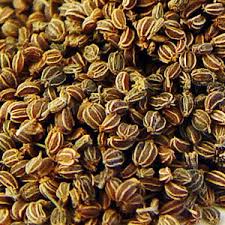 Manufacturers Exporters and Wholesale Suppliers of Celery Seeds Ladwa Haryana